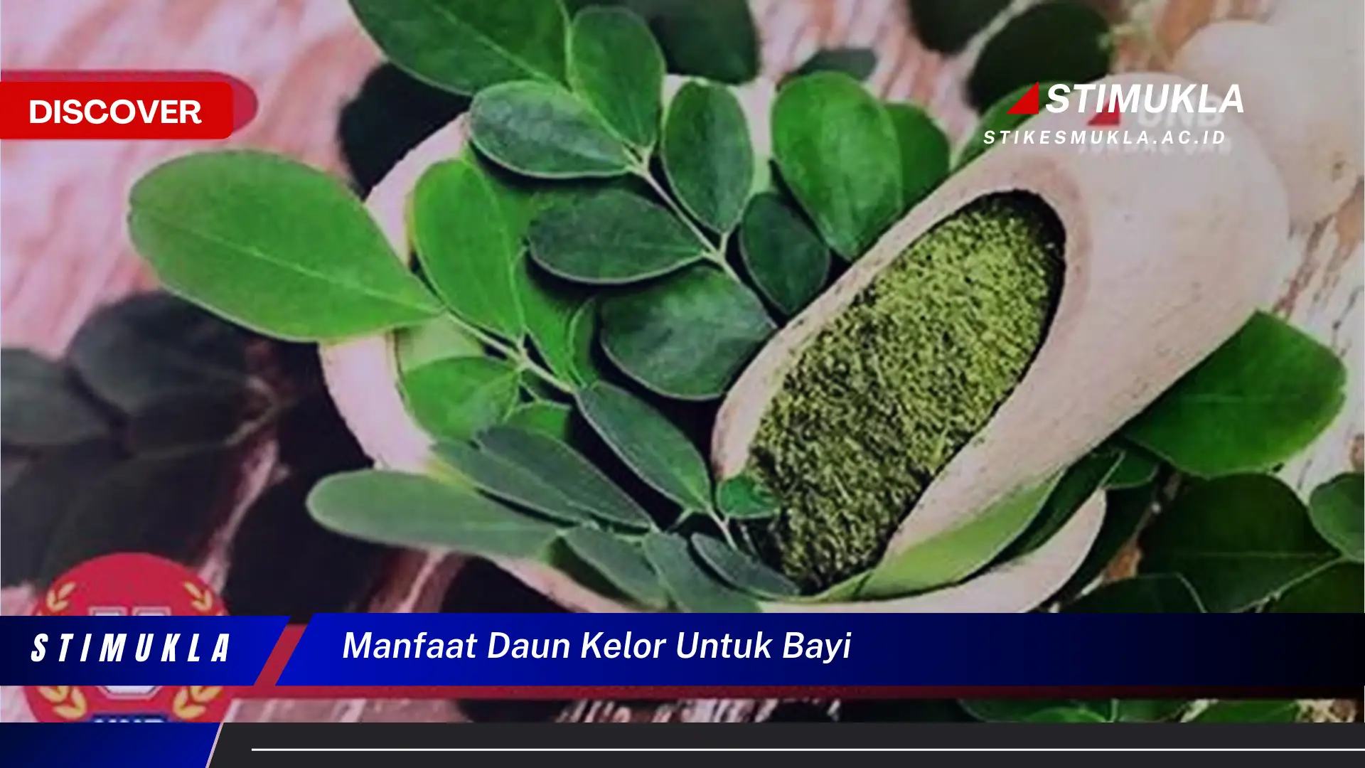 manfaat daun kelor untuk bayi manfaat daun kelor untuk bayi