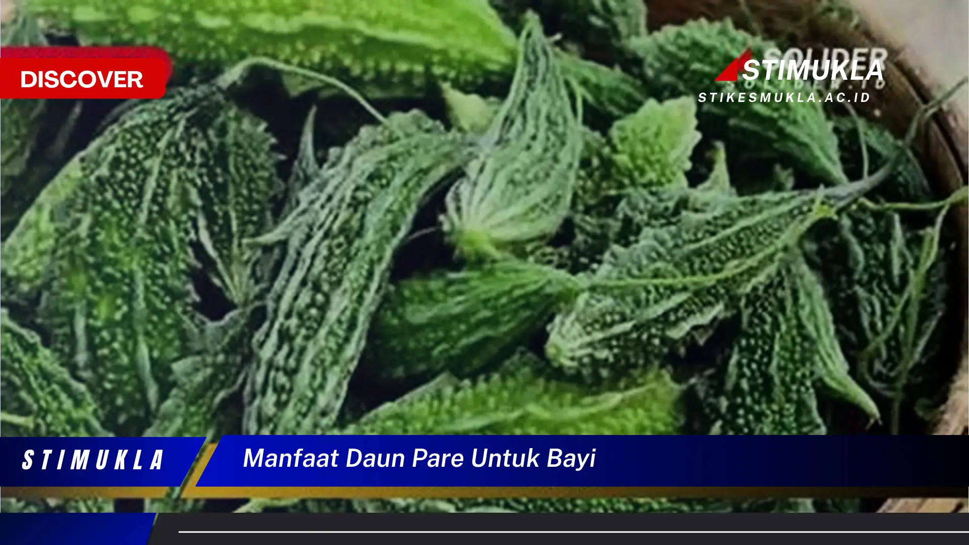 manfaat daun pare untuk bayi