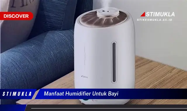 manfaat humidifier untuk bayi