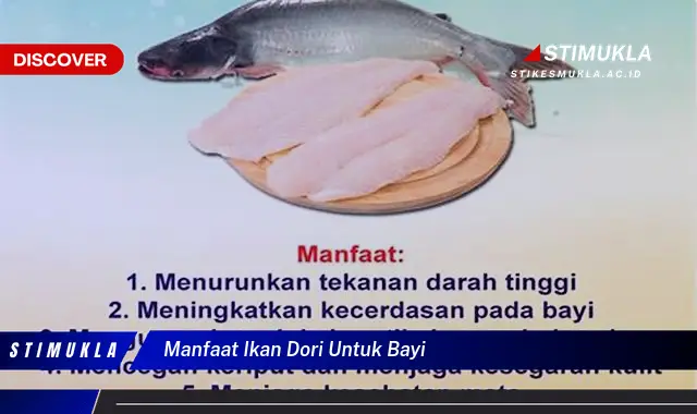 manfaat ikan dori untuk bayi