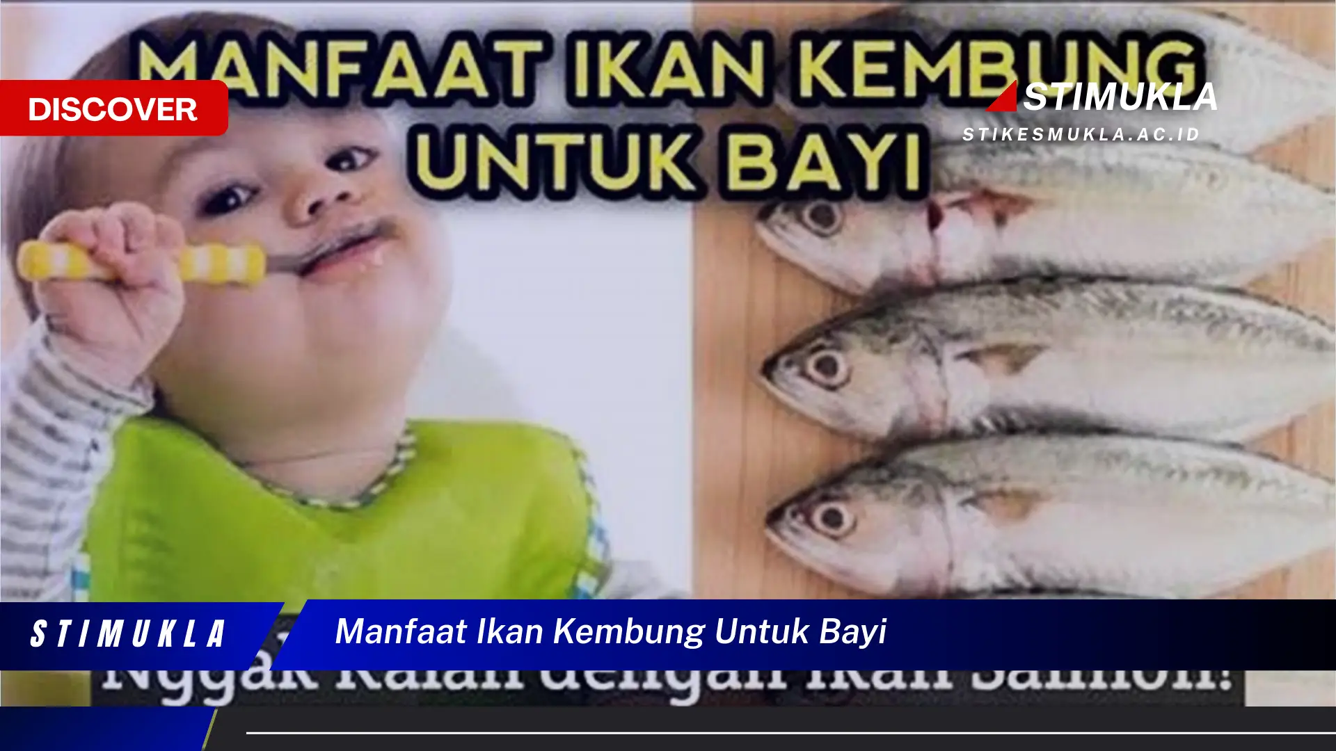 manfaat ikan kembung untuk bayi