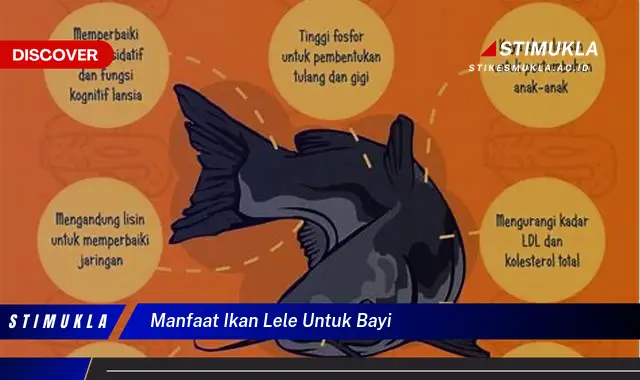 manfaat ikan lele untuk bayi