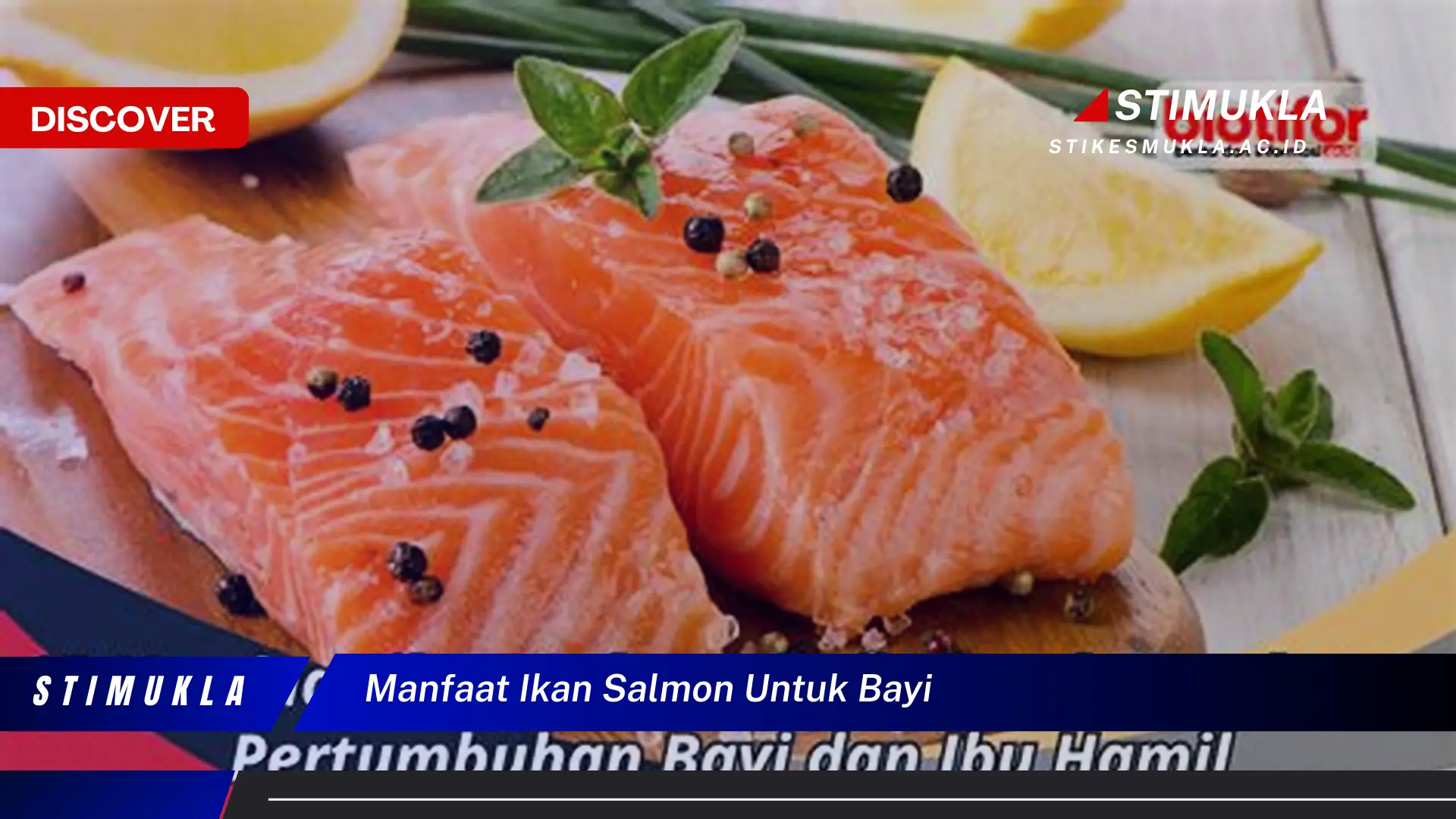 manfaat ikan salmon untuk bayi