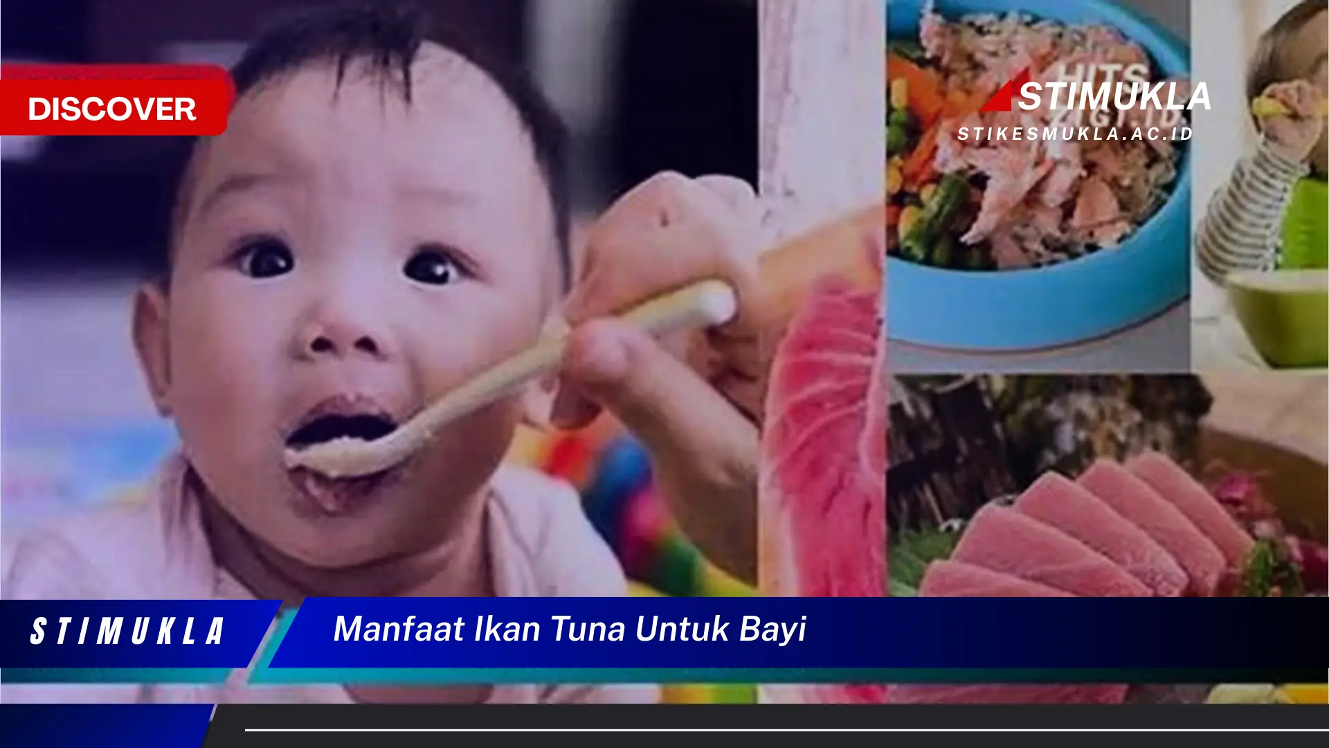 manfaat ikan tuna untuk bayi