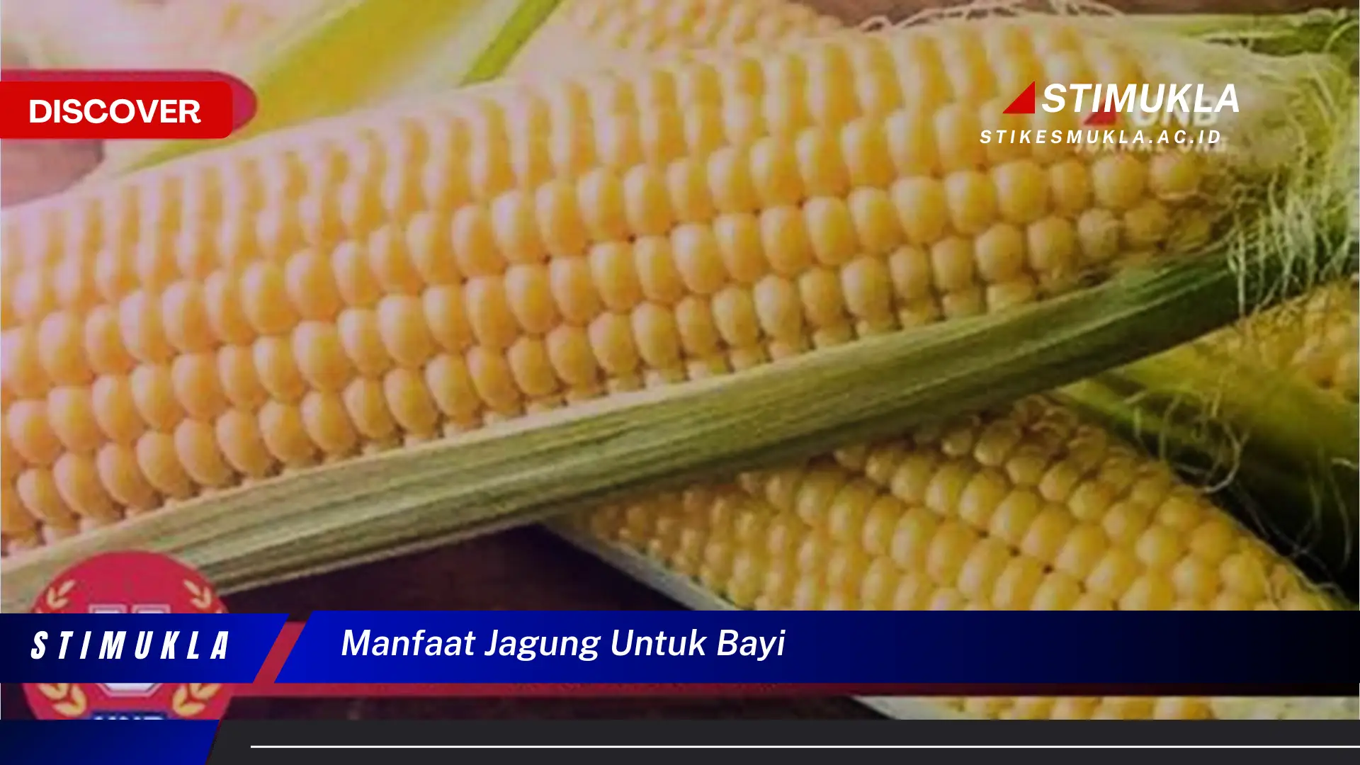 manfaat jagung untuk bayi