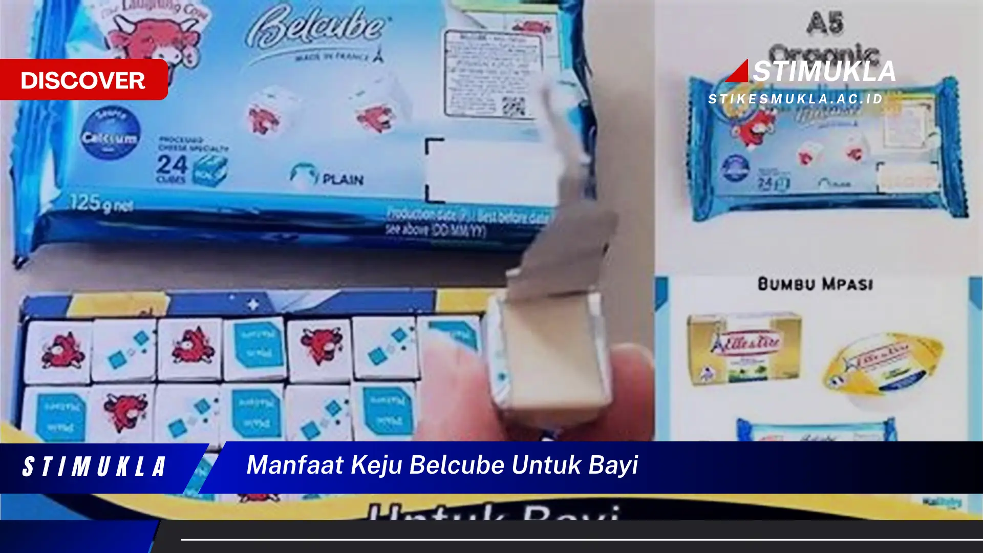 manfaat keju belcube untuk bayi