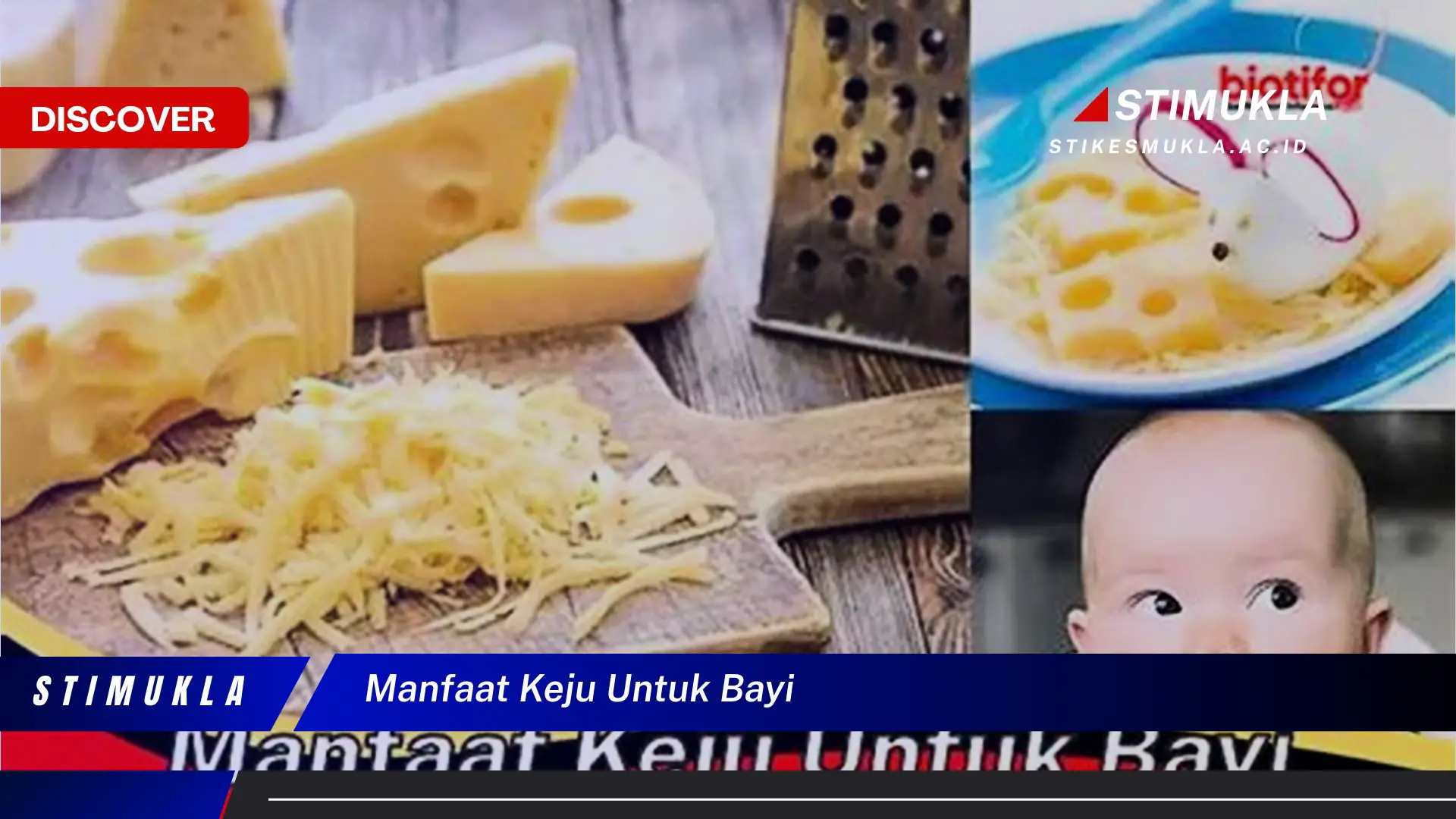 manfaat keju untuk bayi