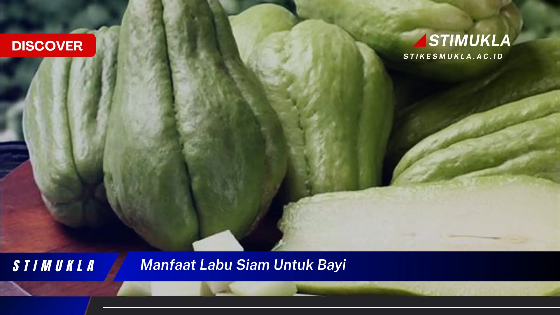 manfaat labu siam untuk bayi