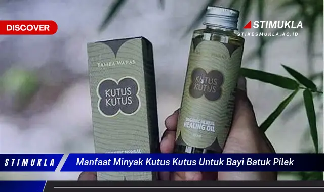 manfaat minyak kutus kutus untuk bayi batuk pilek