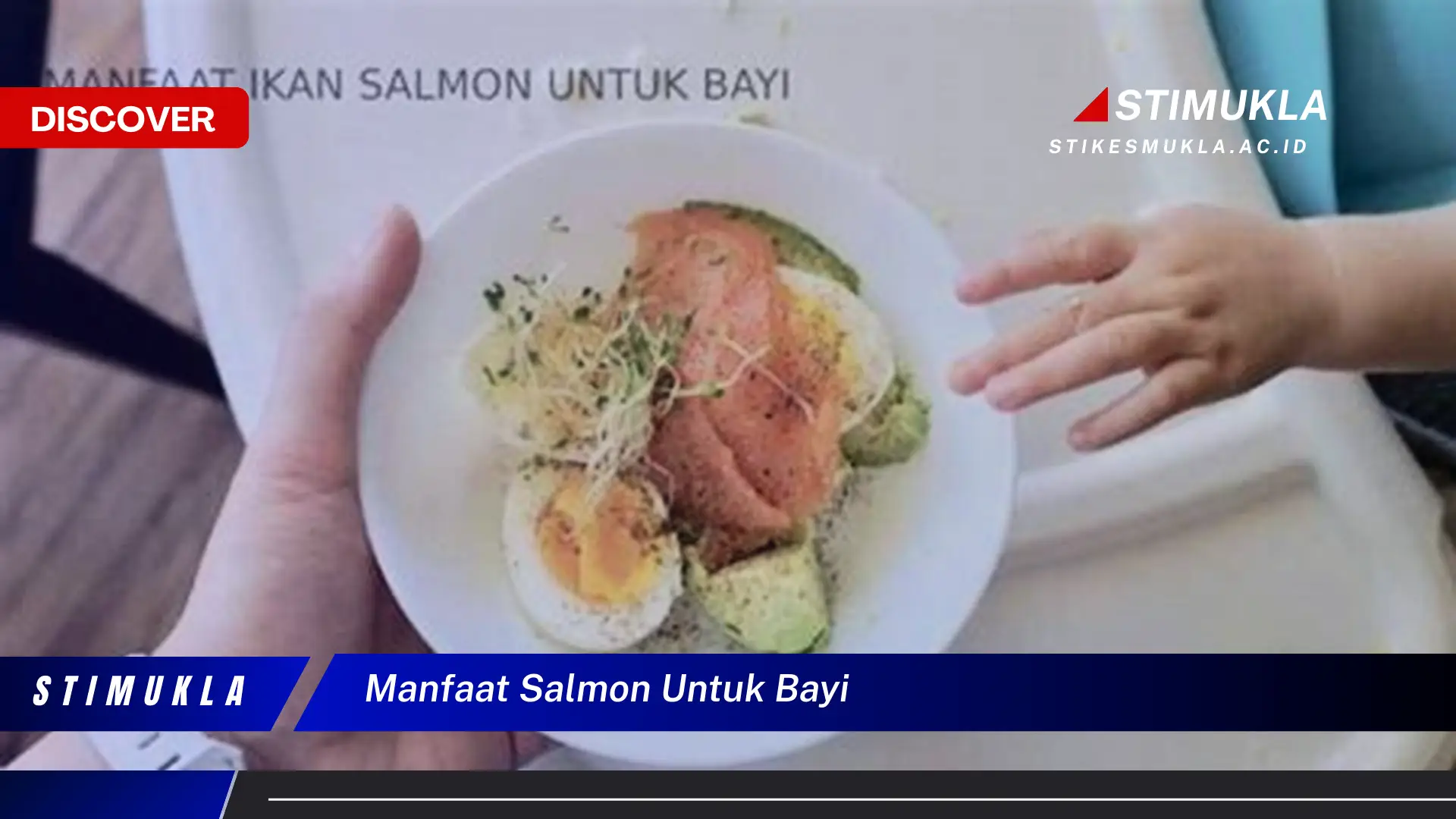 manfaat salmon untuk bayi