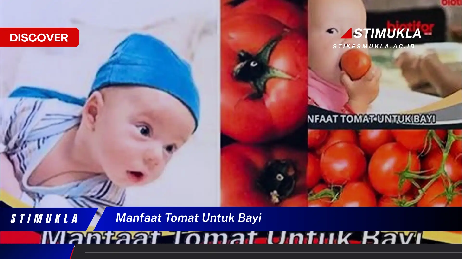 Ketahui 10 Manfaat Tomat untuk Bayi yang Jarang Diketahui