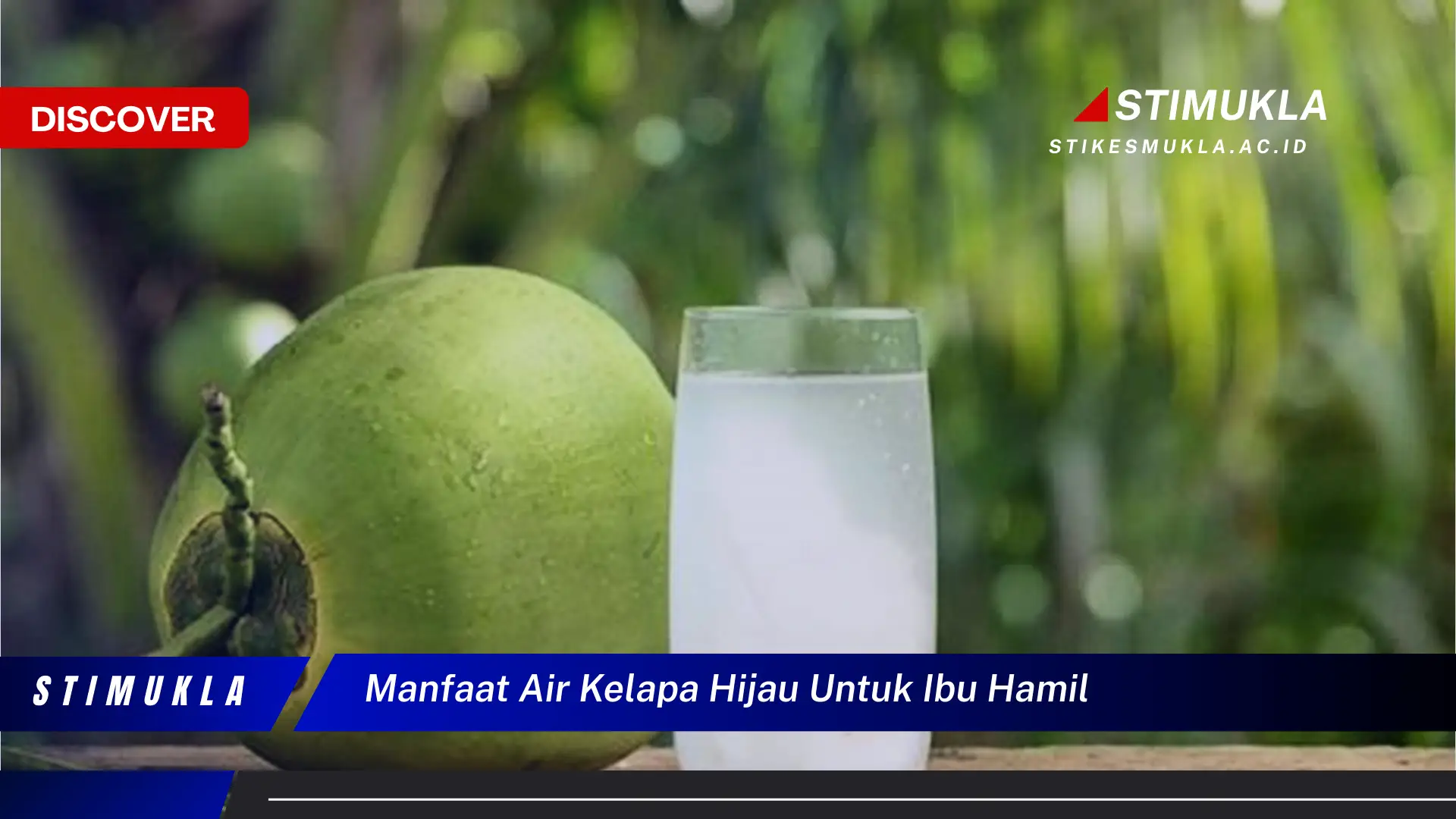 manfaat air kelapa hijau untuk ibu hamil manfaat air kelapa hijau untuk ibu hamil