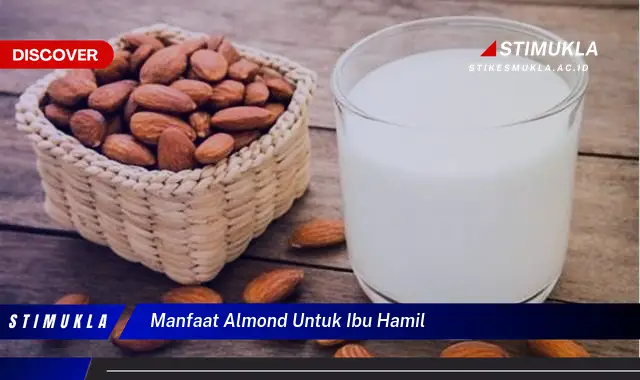 manfaat almond untuk ibu hamil