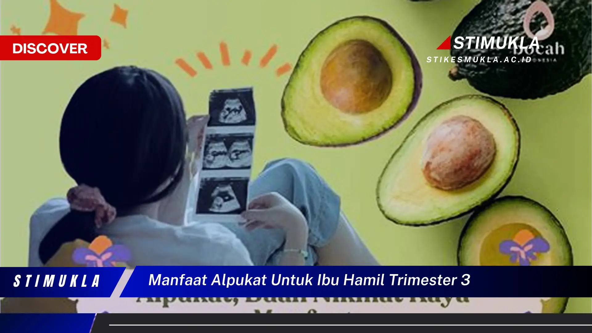manfaat alpukat untuk ibu hamil trimester 3 manfaat alpukat untuk ibu hamil trimester 3