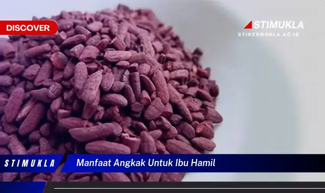 manfaat angkak untuk ibu hamil