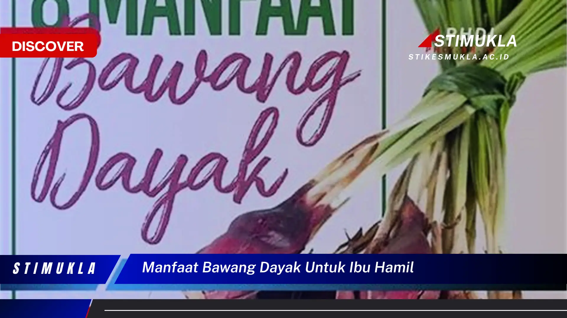 manfaat bawang dayak untuk ibu hamil