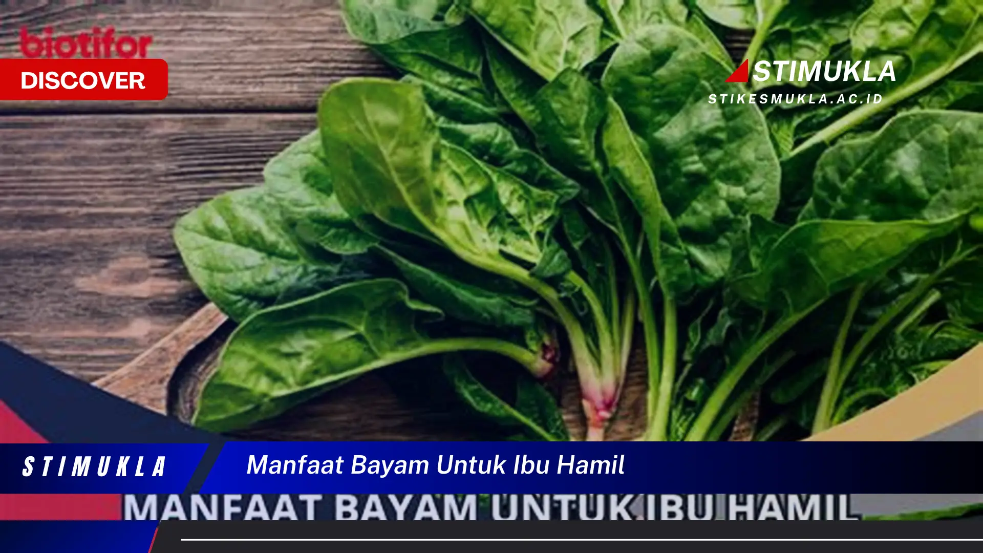manfaat bayam untuk ibu hamil
