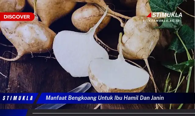 manfaat bengkoang untuk ibu hamil dan janin