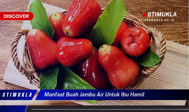 manfaat buah jambu air untuk ibu hamil