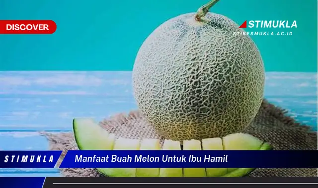 manfaat buah melon untuk ibu hamil