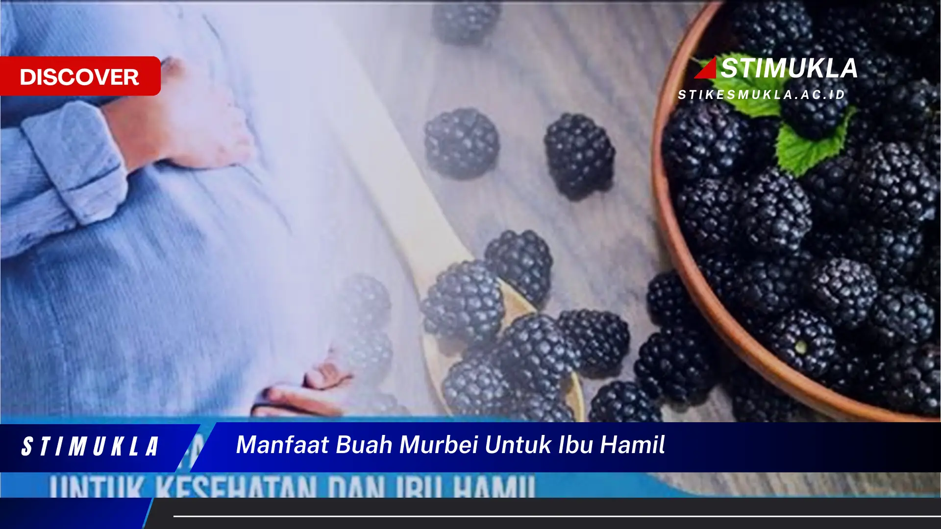 manfaat buah murbei untuk ibu hamil