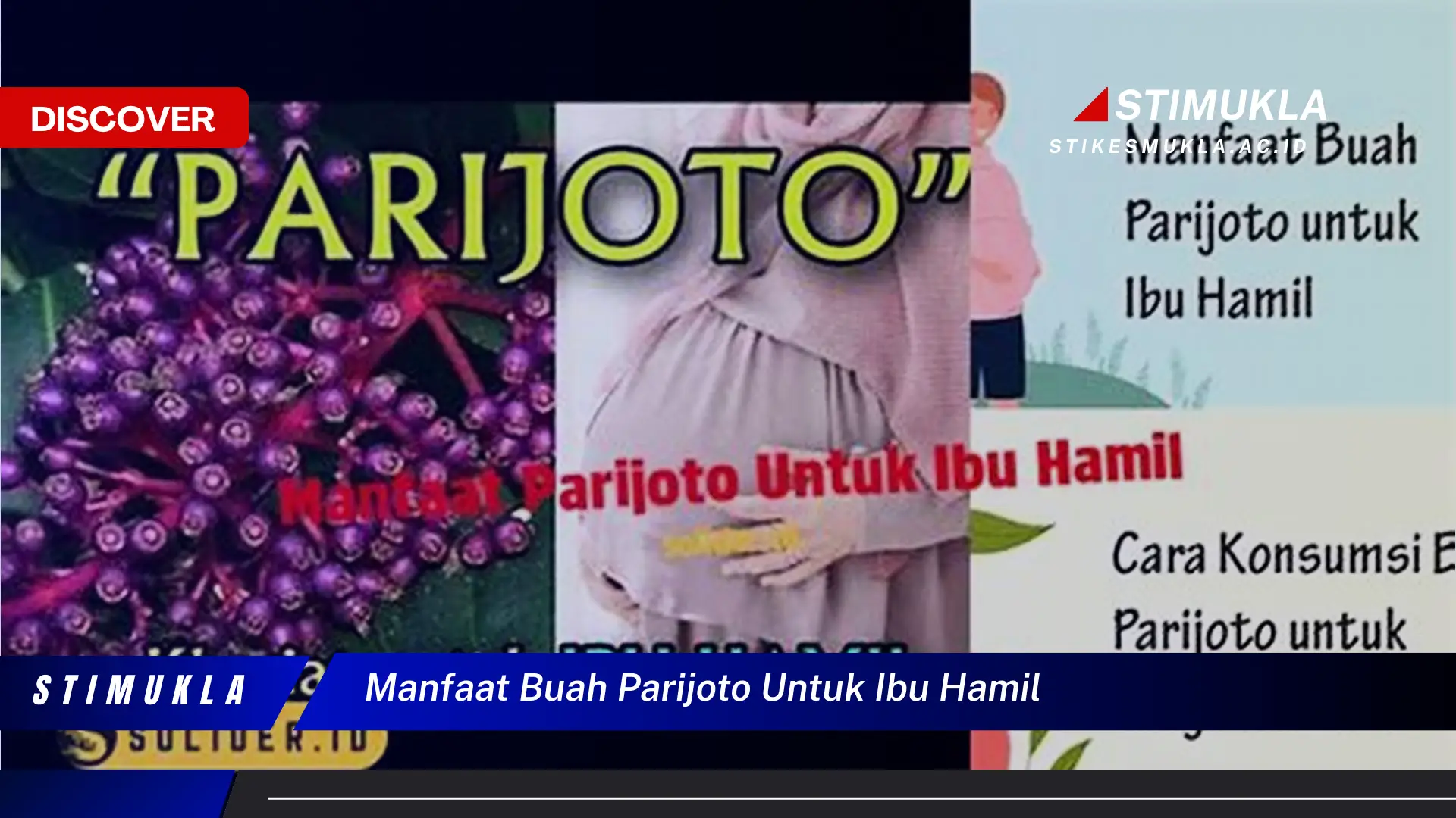 manfaat buah parijoto untuk ibu hamil