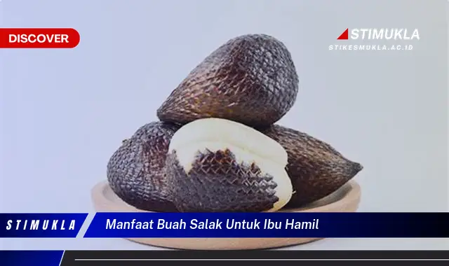 manfaat buah salak untuk ibu hamil