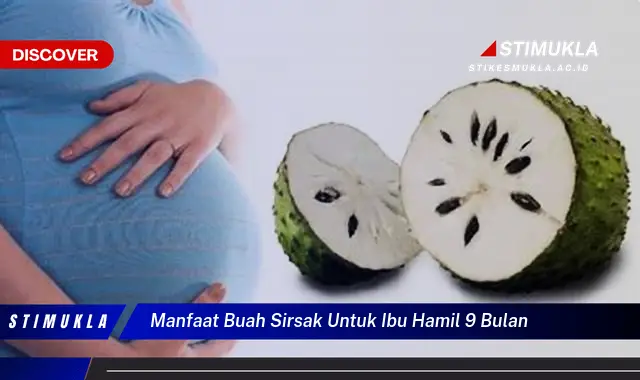 manfaat buah sirsak untuk ibu hamil 9 bulan