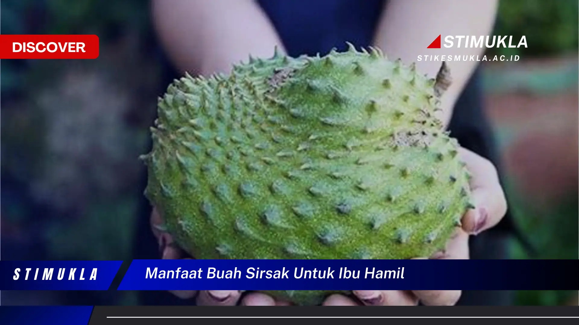 manfaat buah sirsak untuk ibu hamil manfaat buah sirsak untuk ibu hamil
