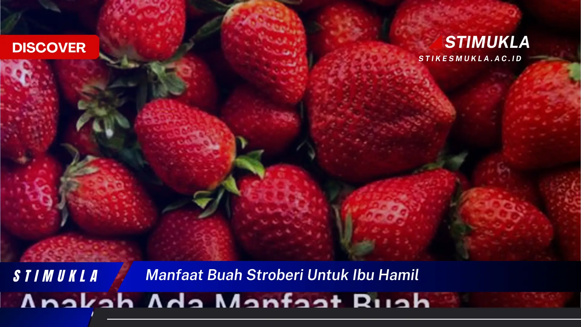 manfaat buah stroberi untuk ibu hamil