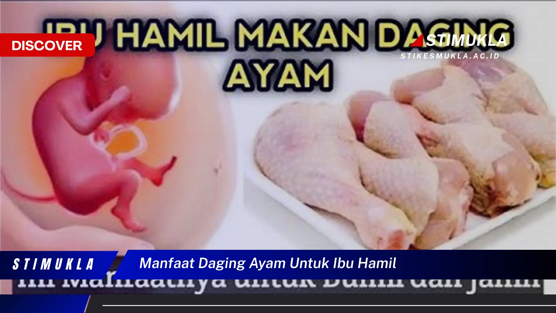 manfaat daging ayam untuk ibu hamil