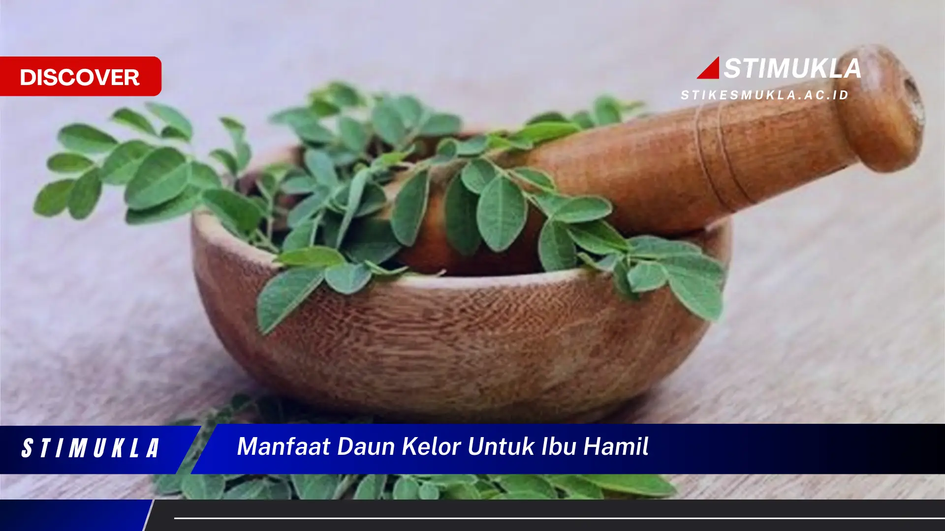 manfaat daun kelor untuk ibu hamil