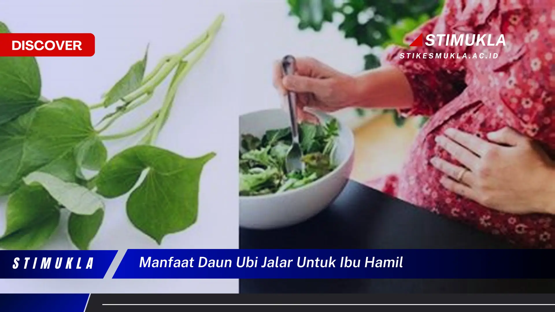manfaat daun ubi jalar untuk ibu hamil