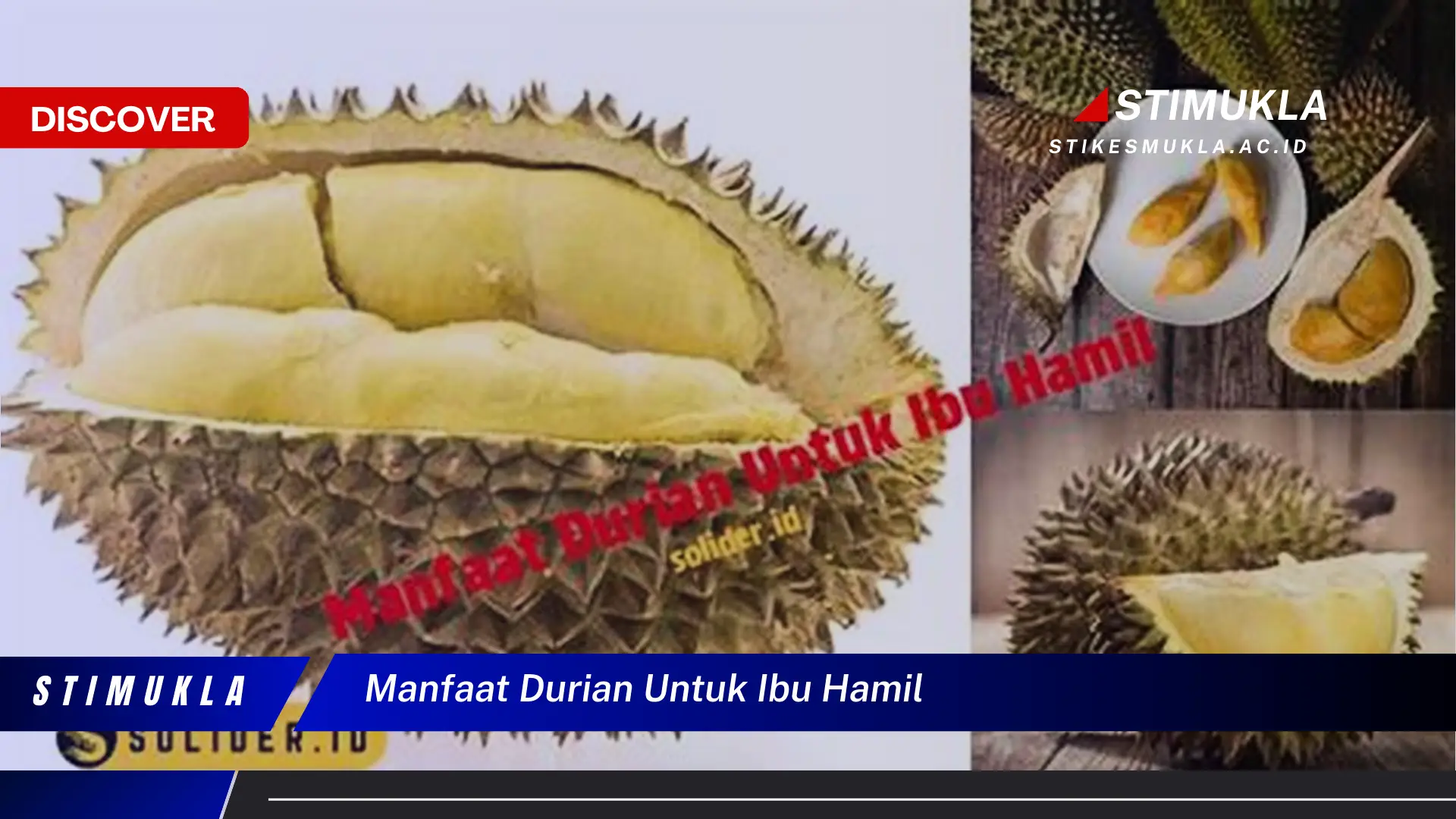 manfaat durian untuk ibu hamil manfaat durian untuk ibu hamil