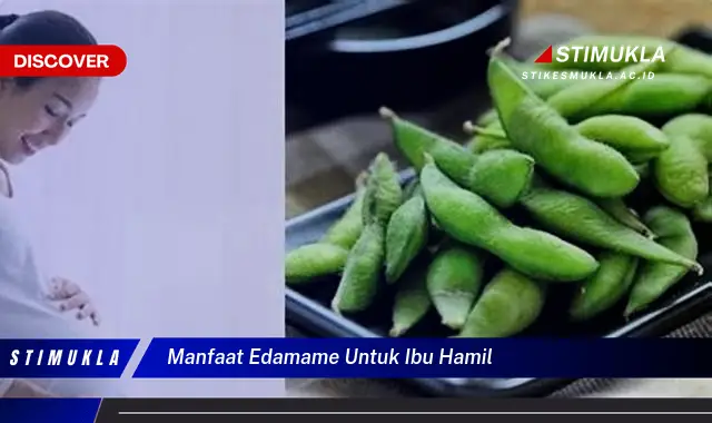 manfaat edamame untuk ibu hamil