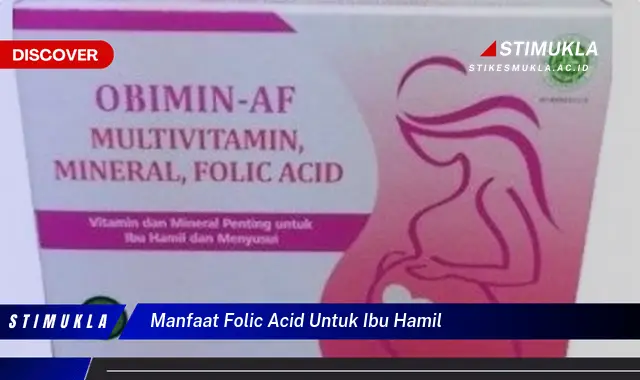 manfaat folic acid untuk ibu hamil