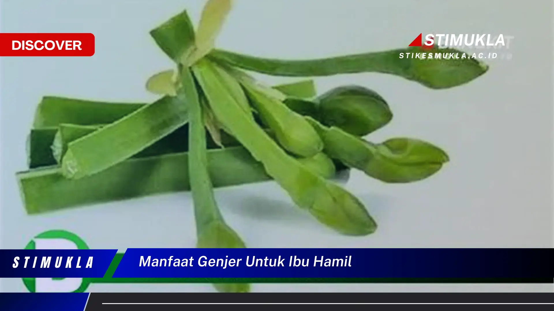 manfaat genjer untuk ibu hamil manfaat genjer untuk ibu hamil
