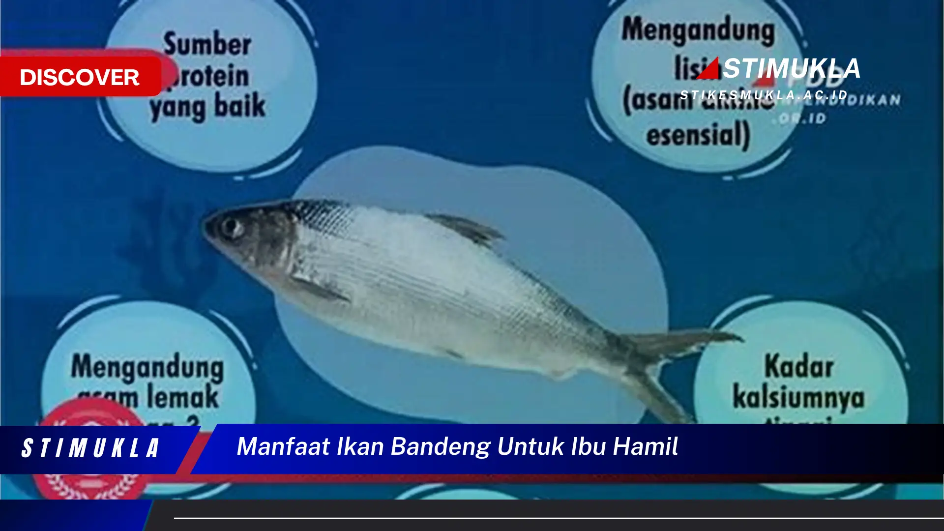 manfaat ikan bandeng untuk ibu hamil