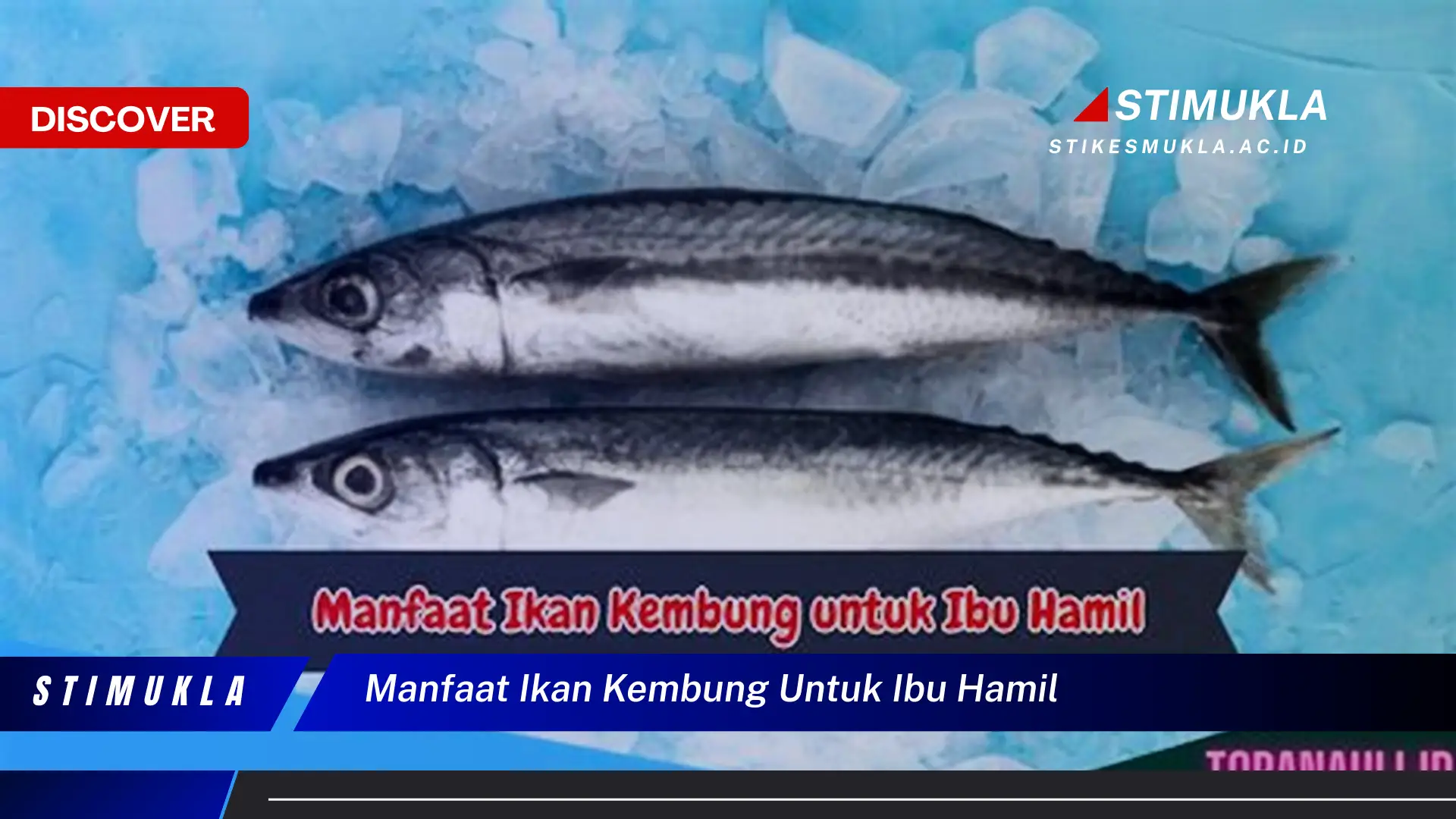 manfaat ikan kembung untuk ibu hamil