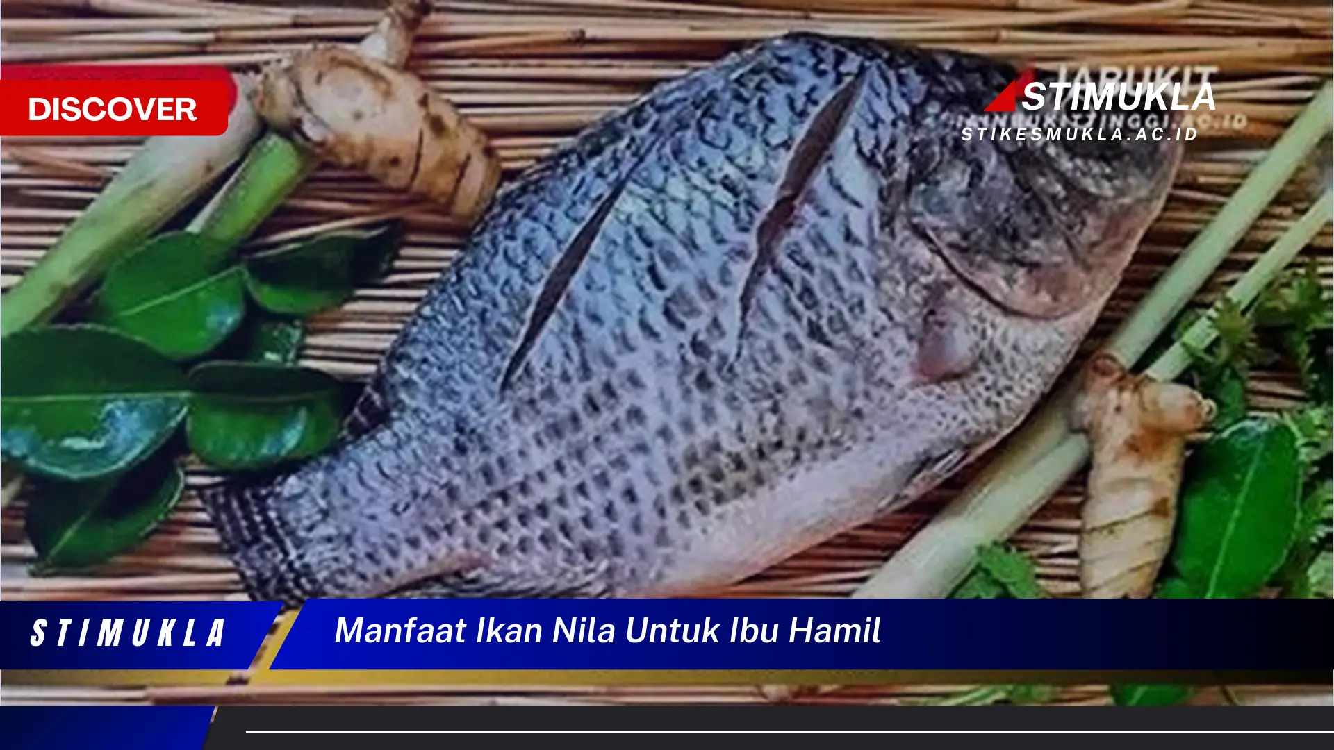 manfaat ikan nila untuk ibu hamil