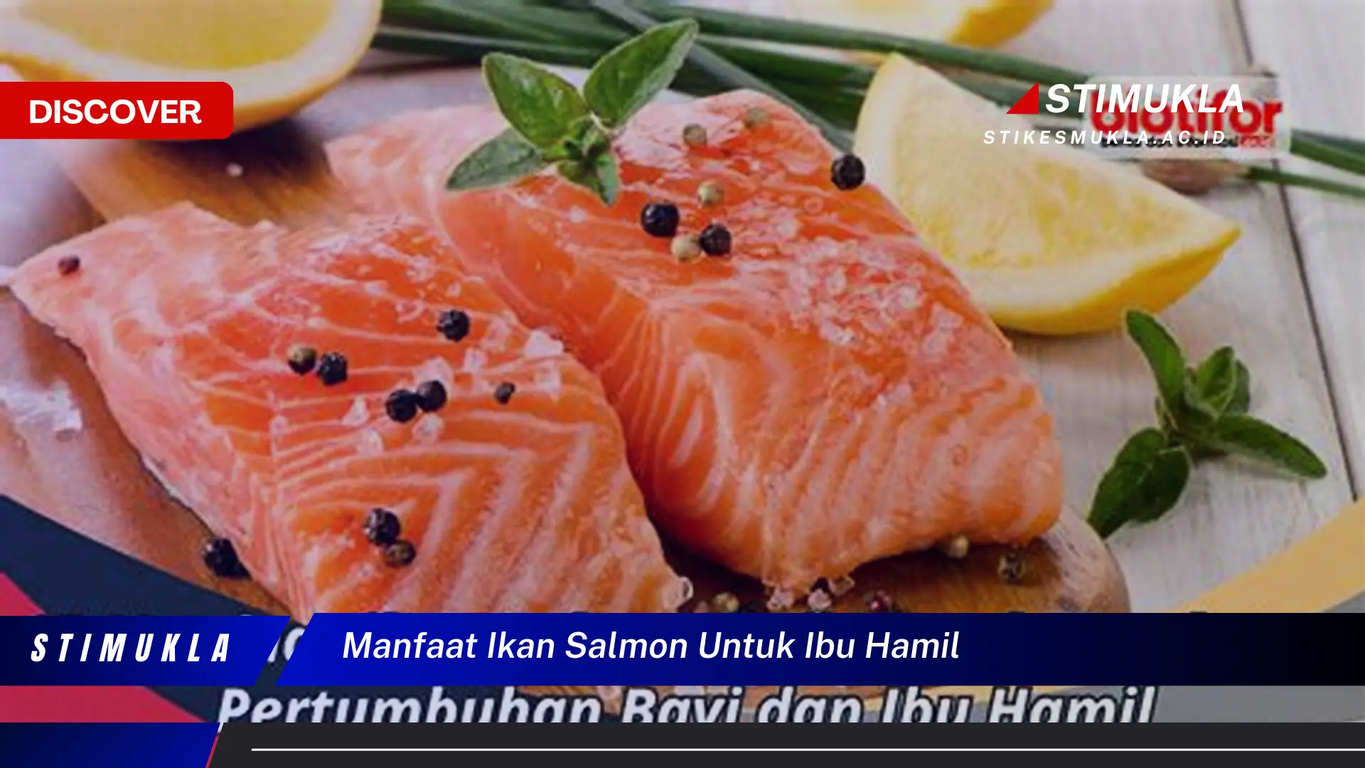 manfaat ikan salmon untuk ibu hamil