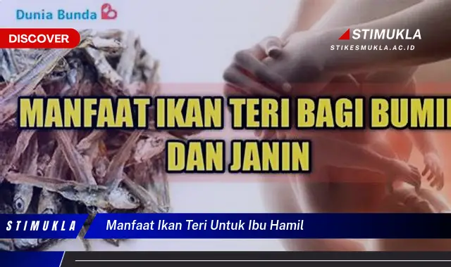 manfaat ikan teri untuk ibu hamil