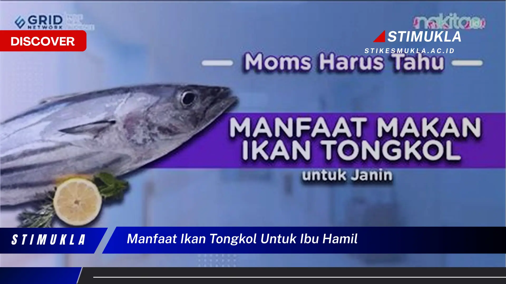 manfaat ikan tongkol untuk ibu hamil