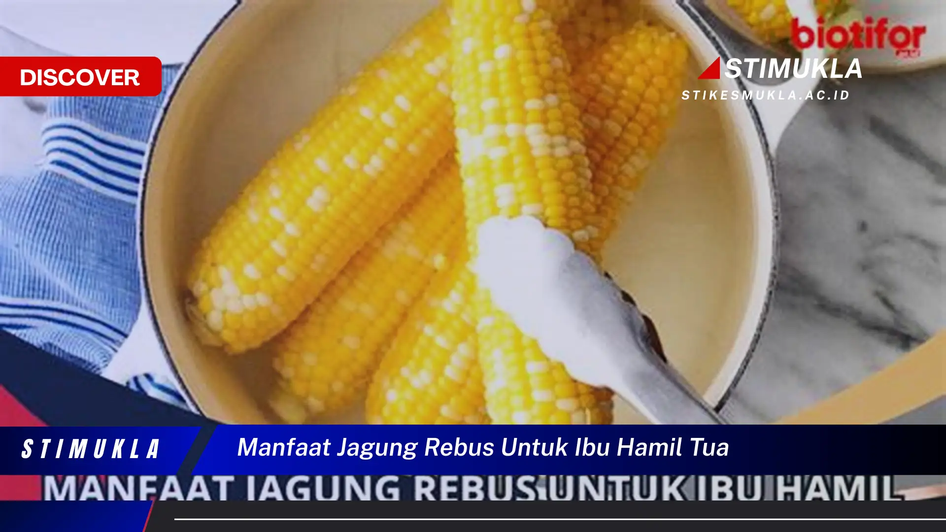 manfaat jagung rebus untuk ibu hamil tua