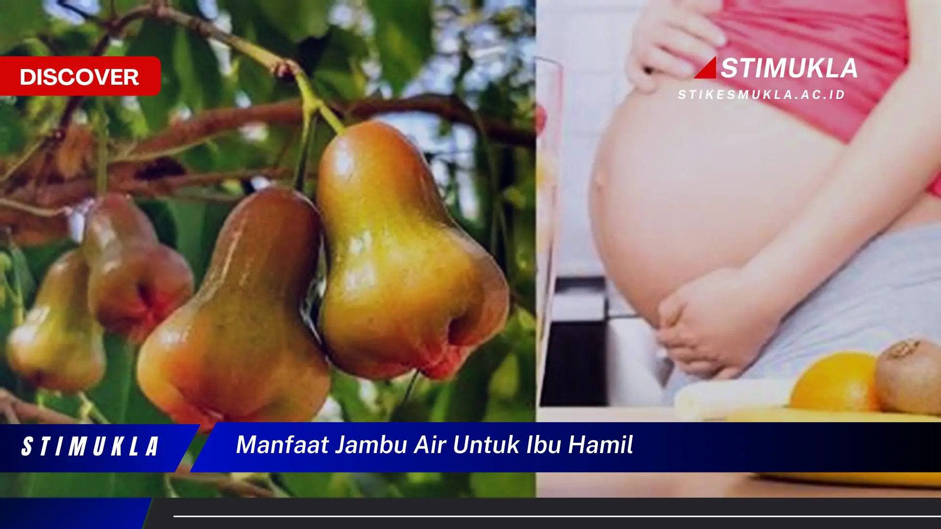 manfaat jambu air untuk ibu hamil