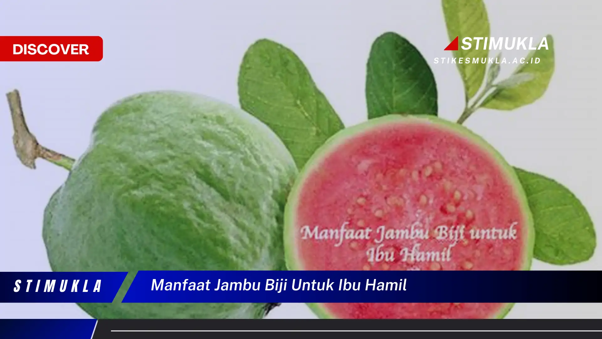 manfaat jambu biji untuk ibu hamil
