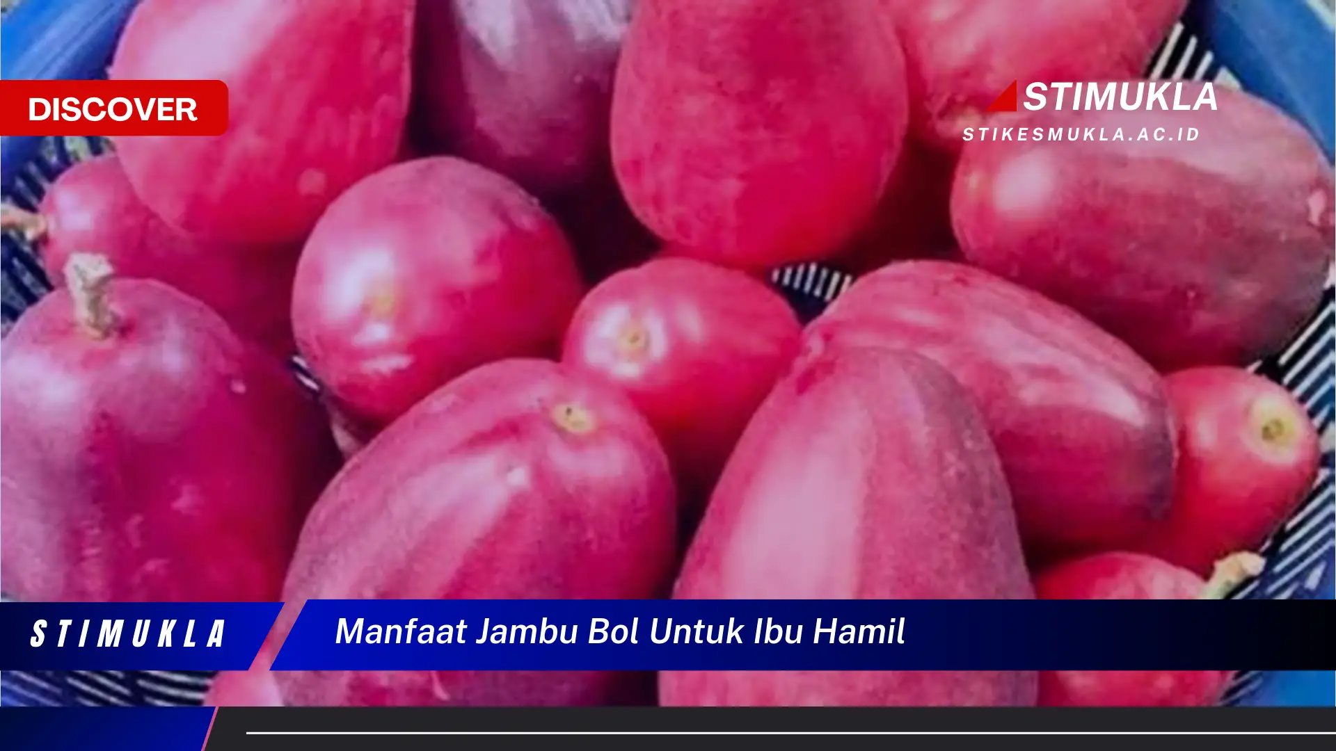 manfaat jambu bol untuk ibu hamil