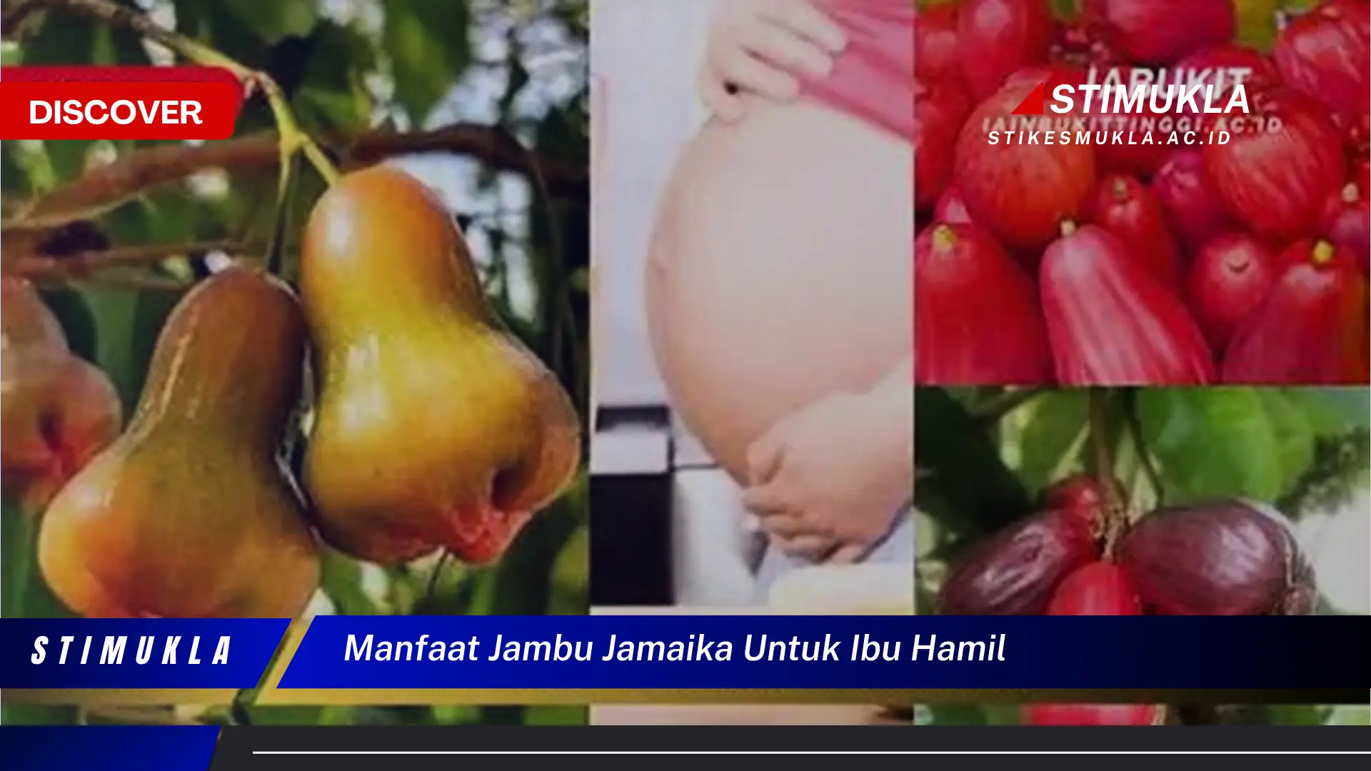 manfaat jambu jamaika untuk ibu hamil