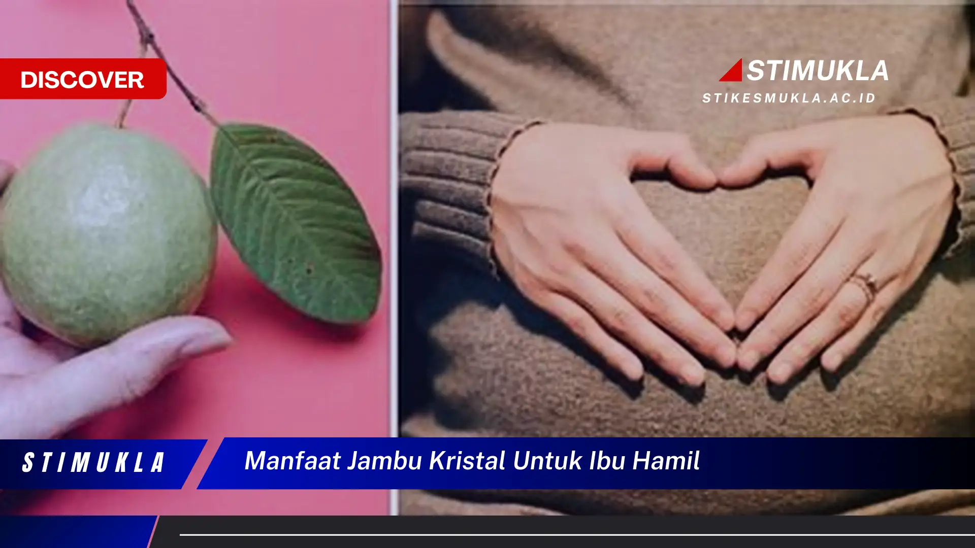 manfaat jambu kristal untuk ibu hamil