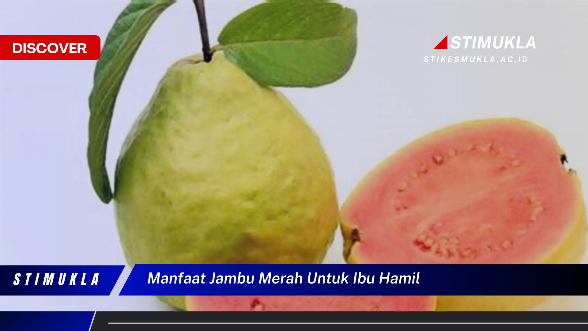 manfaat jambu merah untuk ibu hamil